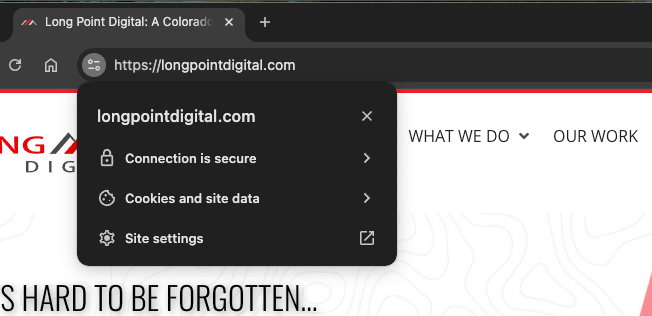 2025 example of Google's SSL Certificate Icon
