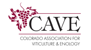 CAVE_Logo