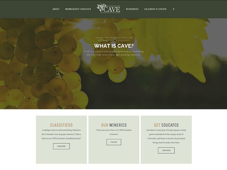 CAVE-Website-Build-Feature-1